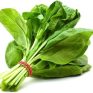 Spinach-5