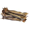 Stockfish-Body