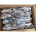 Tilapia - half box