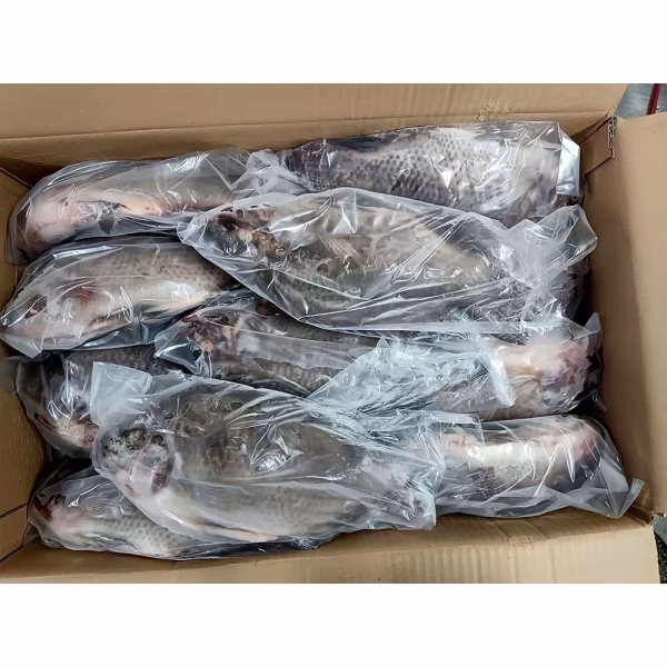 Tilapia - half box Tilapia - half box