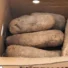 Yam-qtr-2